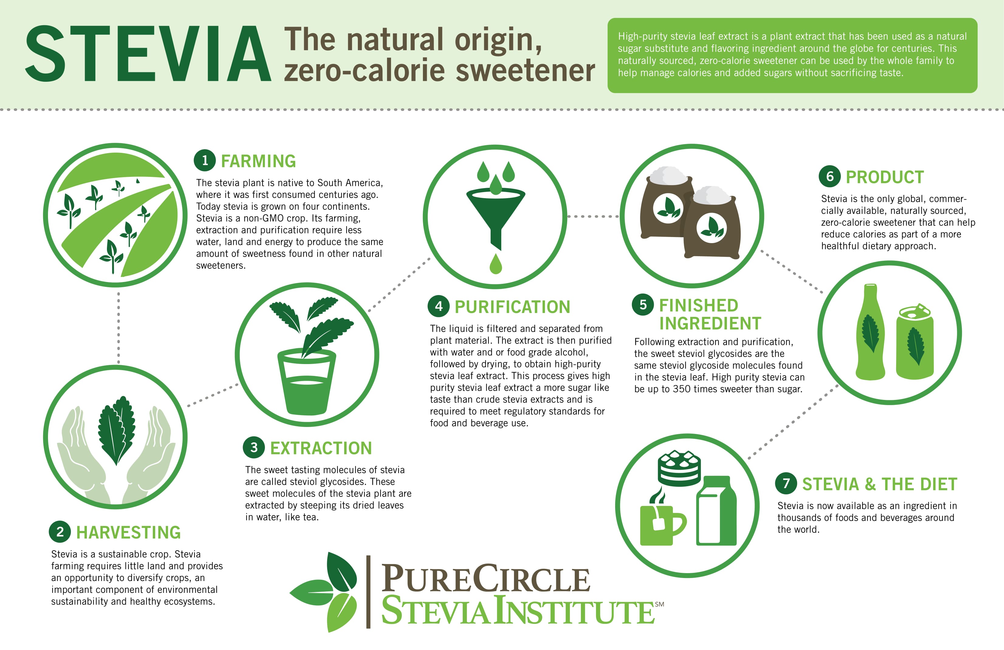 stevia infographic