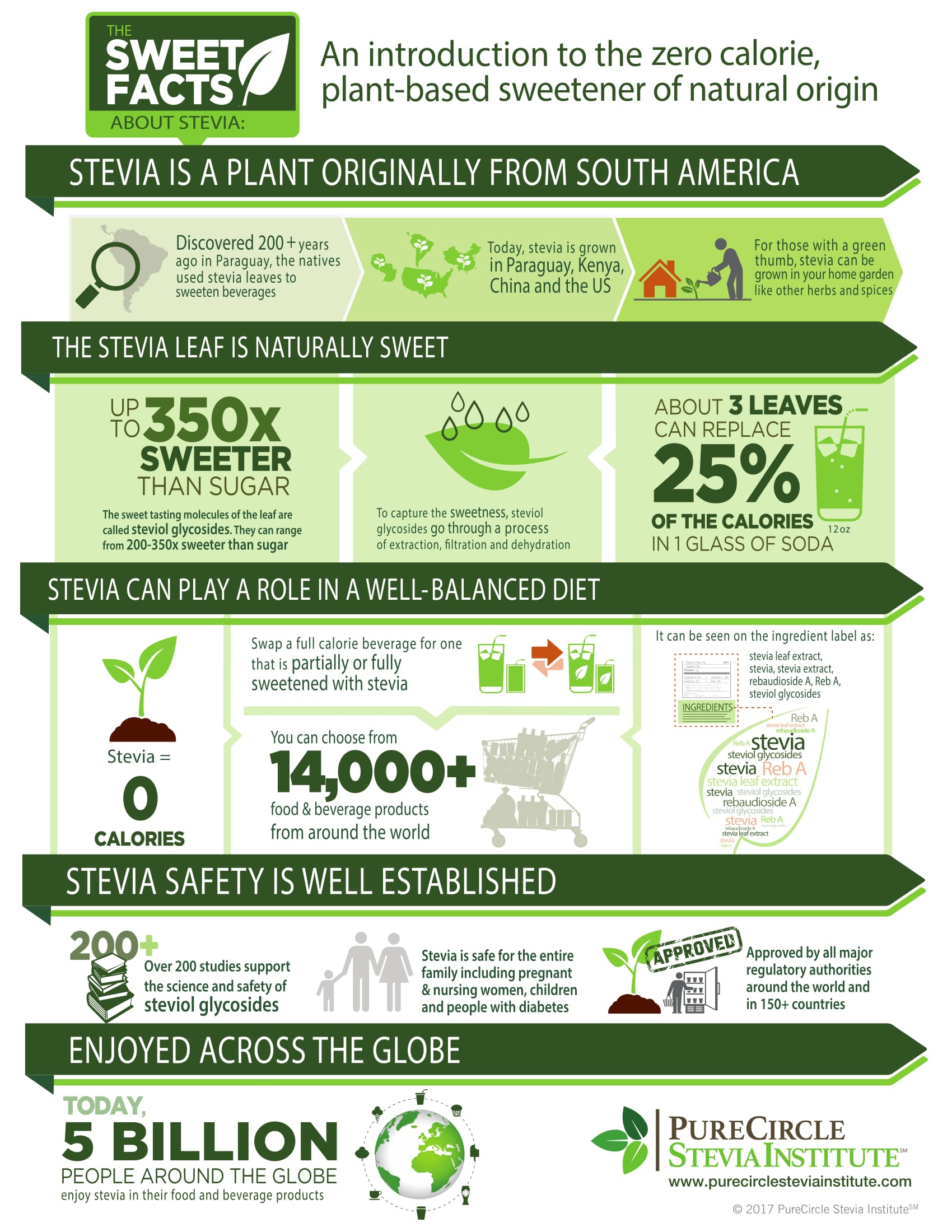 What is Stevia